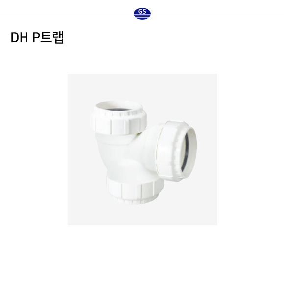 DH P트랩