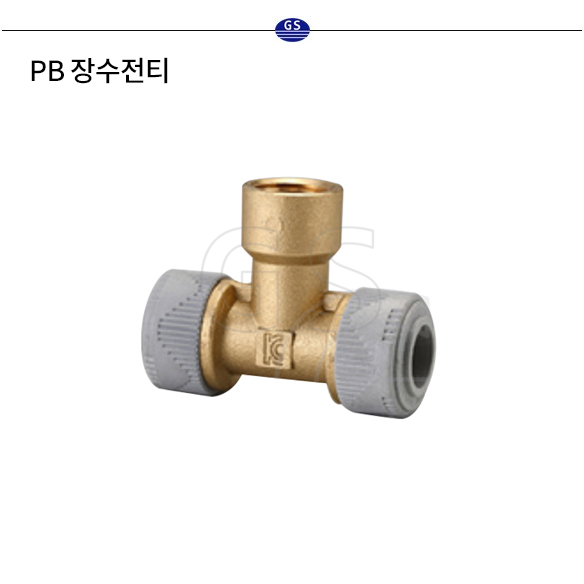 PB 장수전티 (구KS)