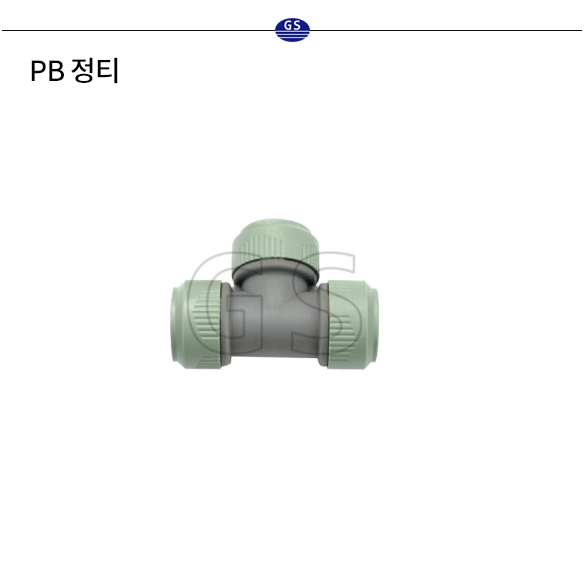 PB 정티