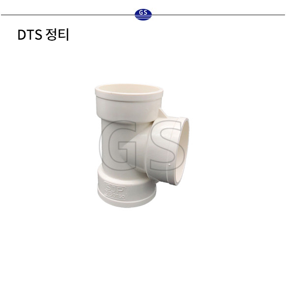 DTS 정티