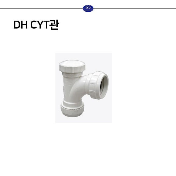 DH CYT관