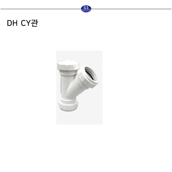 DH CY관
