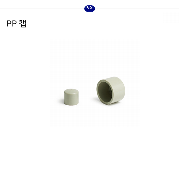 PP 캡