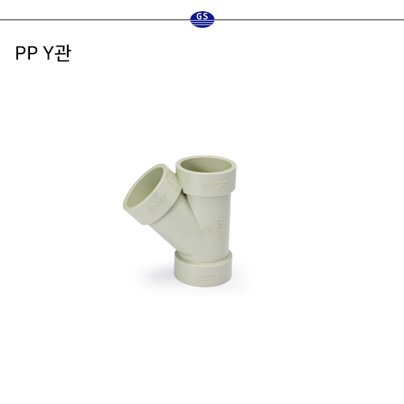 PP Y관